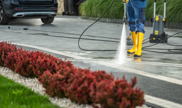 Boat and Dock Cleaning in Bayou Blue, LA